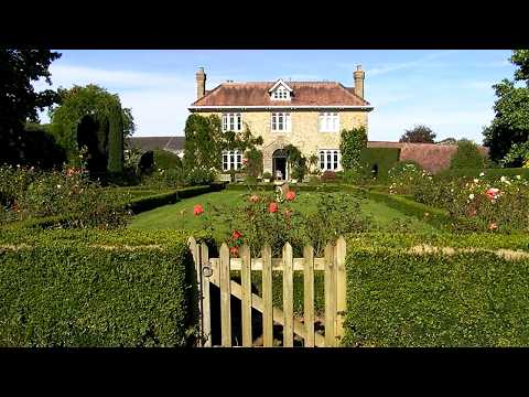 Saving the British Hedge and Hedgehogs