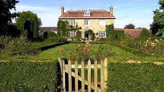 Saving the British Hedge and Hedgehogs
