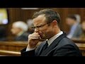 The state presents closing arguments in Pistorius case: Session 1