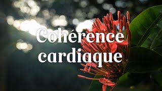 Cohérence cardiaque exercice 5 minutes