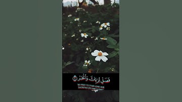 تلاوة سورة الكوثر بصوت القارئ اسلام صبحي  #القرآن_الكريم  #تلاوة_خاشعة