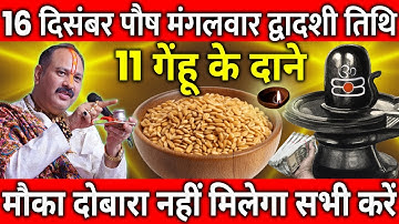 16 दिसंबर पौष मंगलवार द्वादशी तिथि के दिन 11 गेंहू के दाने वाला उपाय जरुर करे || Pradeep Ji Mishra