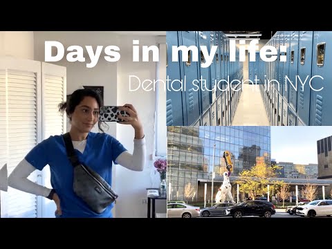 Days in my life: Dental student in NYC