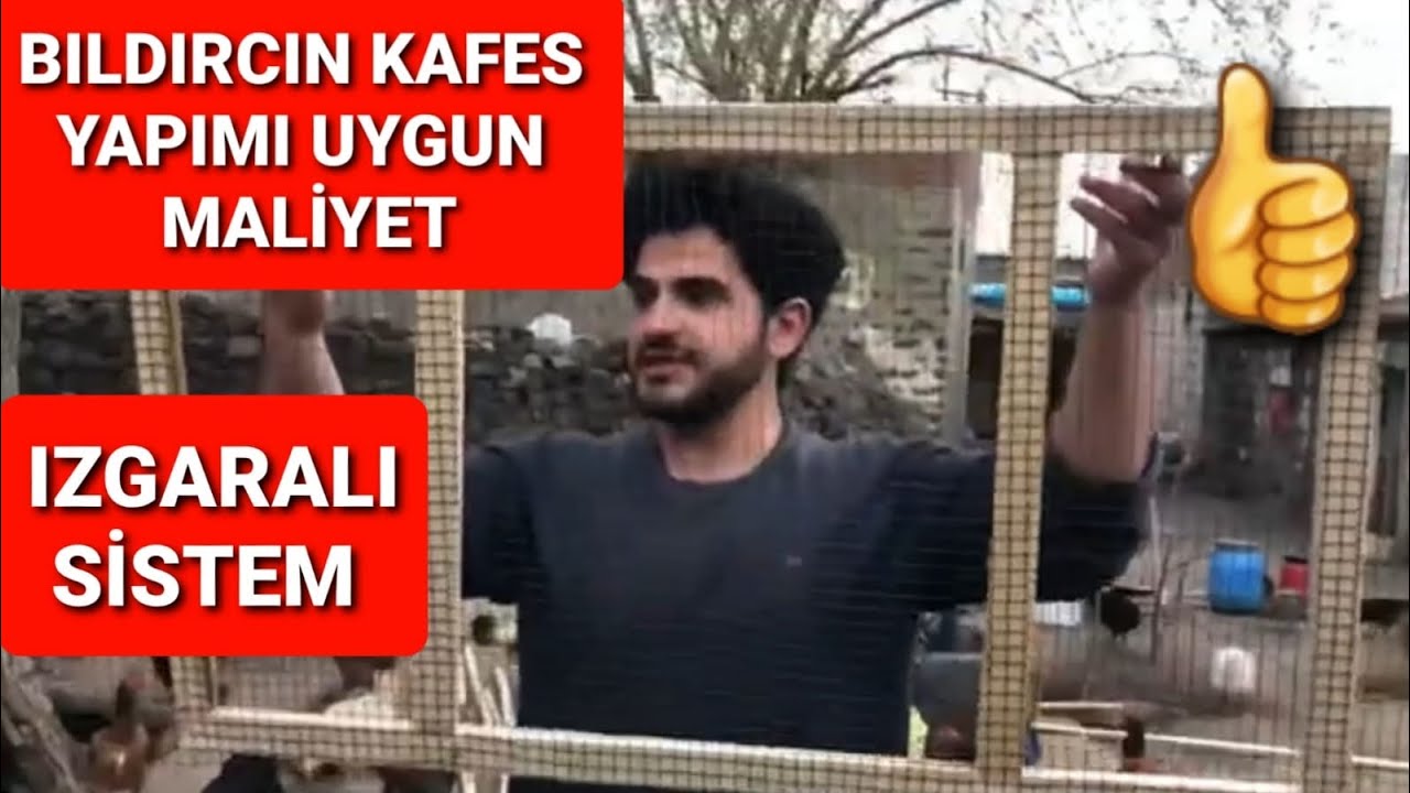 Bıldırcın kafes yapımı en ucuz bıldırcın kafesi yapımı kolay bıldırcın kafesi yapımı #bıldırcınkafes