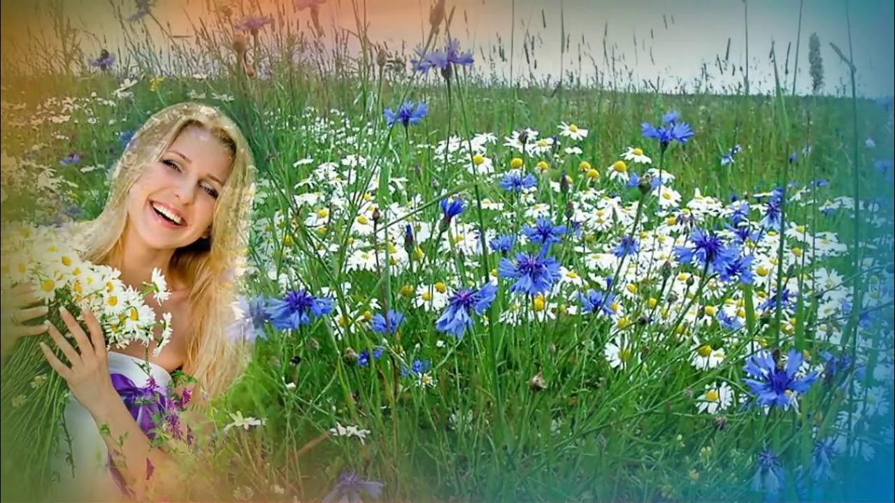 Подарю цветы кто поет. Девушка в поле с васильками. Фотосессия в Васильковом поле. Девушка с ромашками.
