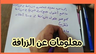 يعتبر حيوان بري طويل القامة، معلومات عن الزرافة