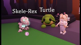 Skele-Rex vs Turtle who is more valuable Analytics + Mega Giveaway!