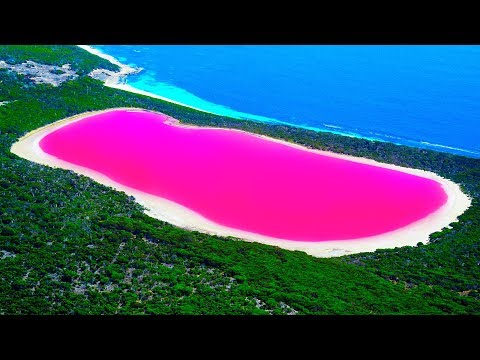 Vidéo: Comment le lac Hillier est-il devenu rose ?