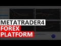 MetaTrader 4 explained - Best Forex Trading Platform