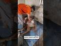 उपचार का समय#animal #news #saveanimal #anime #shorts