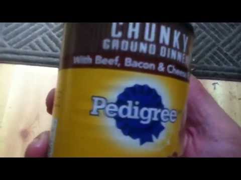 canned-dog-food-taste-test-purina-vs-pedigree