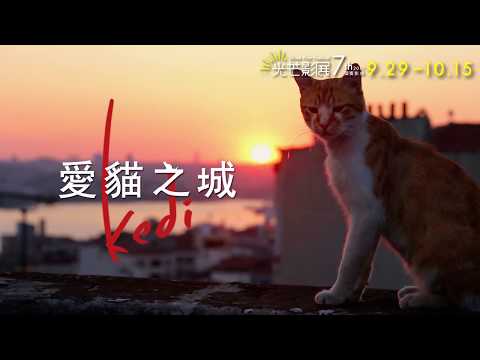 2017光芒影展｜愛貓之城