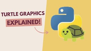 Turtle Graphics with Python in less than 6 minutes Net Worth