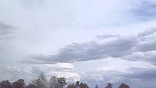 102_0530.AVI