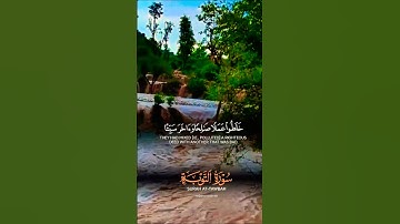 تلاوة خاشعة قرأن كريم راحة نفسية #elmulquranعلم #تلاوة #trend #اكسبلور #قران_كريم #لايك #aslam