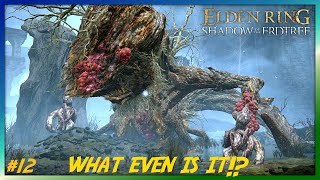 Drain The Water & Lesser Ulcerated Spirit Boss - Shadow Of The Erdtree Part 12 - Elden Ring Dlc