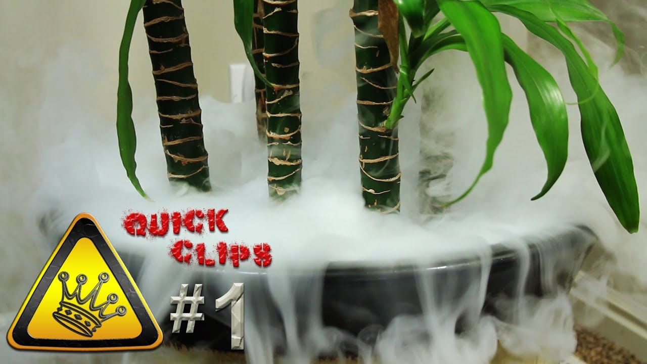 QC1 Hot Water & DryIce In a Plant Pot (Just for Fun) YouTube