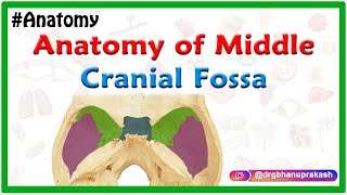 Anatomy of Middle cranial Fossa