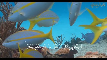 Surat Al-Hadid  Hisham Al-Haraz سورة الحديد مكتوبة للقارئ هشام الهراز