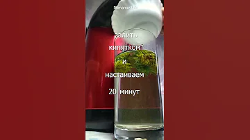 чай из одуванчика | рецепты | здоровье | чай | жизнь в деревне