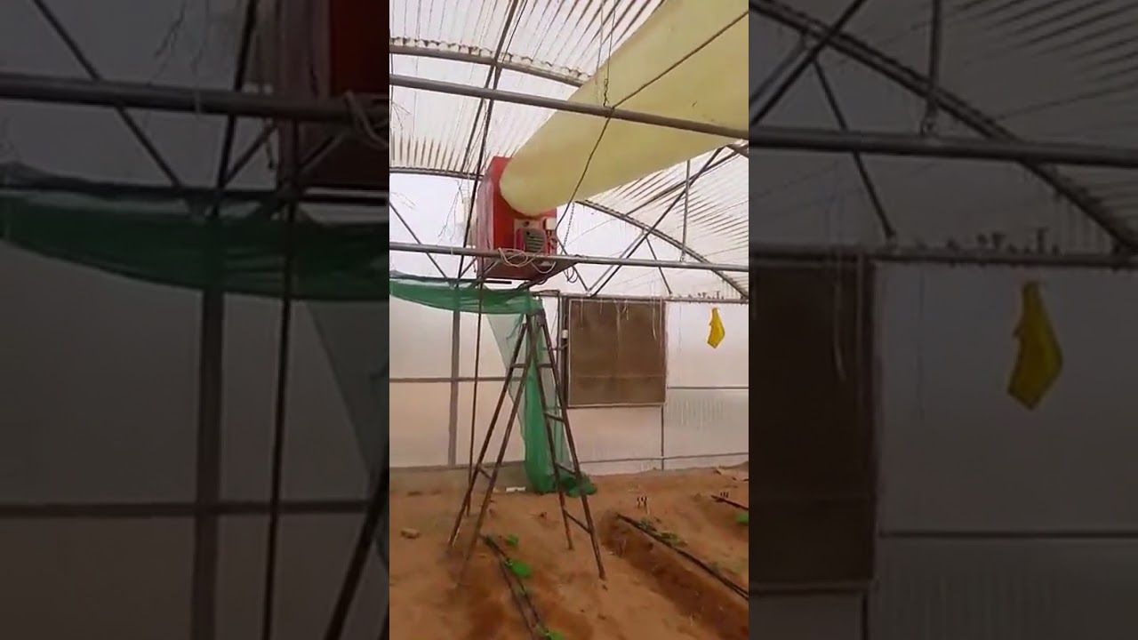 الدفايه في البيت المحمي  17/11/2017 .. ثمار تيماء الزراعية