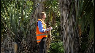 Bachelor of Landscape Management