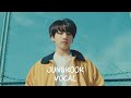 BTS🖤|那些年田柾國在直播上唱過的名曲|全程字幕|Jungkook Singing Playlist with Sub|粉紅糯米