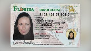 Florida issues new driver's licenses with new design News