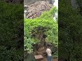 Making memories #youtubeshorts #nature #trending #trendingshorts #viral