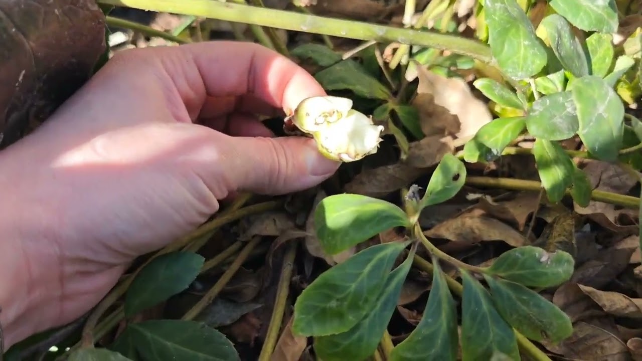 7 Березня,Нарешті весна🌱⛅🫶