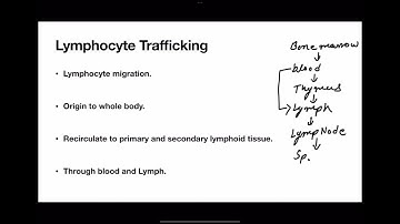 Lymphocyte Trafficking