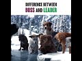 Boss vs leader ms groupe