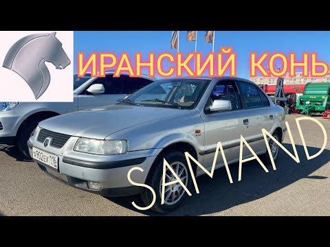 Иранский конь Samand