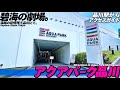🐬【4K.アクアパーク品川】品川駅からアクアパーク品川へご案内‼︎【行き方アクセス|品川駅】Aqua Park Shinagawa Aquarium. Tokyo Travel.