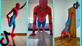 Funniest Spider Slack Compilation 2021