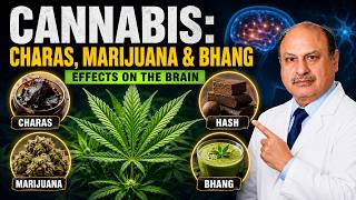 Cannabis and Its Types: Charas, Hash, Marijuana, Bhang and THC Effects on the Brain