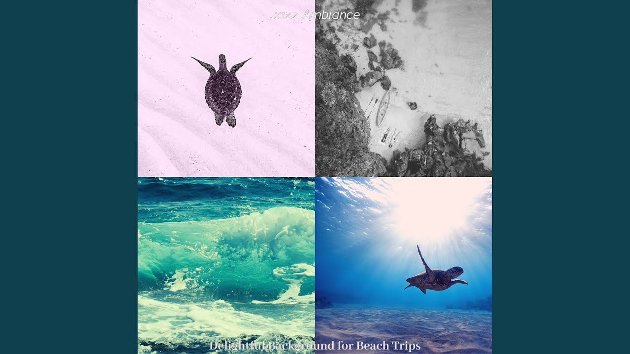 Elegant Ambience for Beach Trips