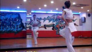 SNSD-Chocolate love(dance tutorial part2)