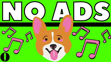 DOG MUSIC TO STOP BARKING (NO ADS)