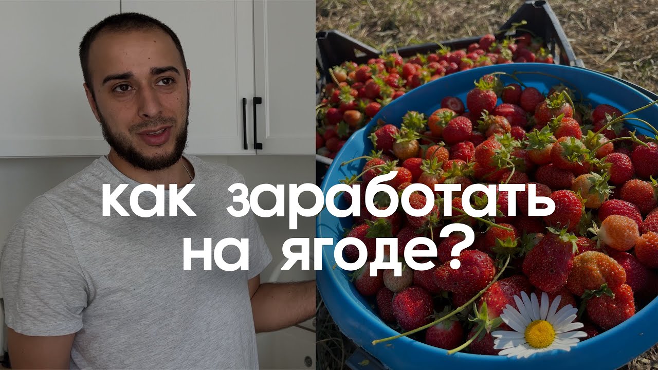 Порно Влог О Мужском Нояборьском Челендже