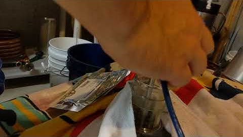 Lemondrop Dry Hop (LD Carlson hops)