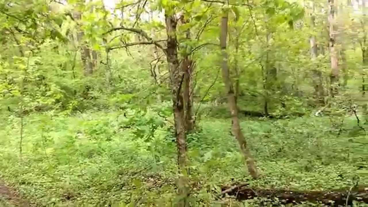 Vorozhba, Sumy region, Ukraine