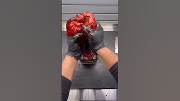 Vanilla Unboxing🍦 #shisha #satisfying #flavor #hookah #asmr #shishalover #alfakher