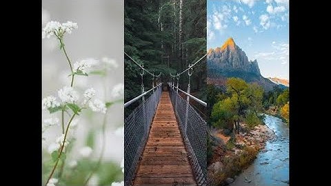 سورة طه كاملة | راحة نفسية لقلبك | بصوت القارئ أحمد الخضر