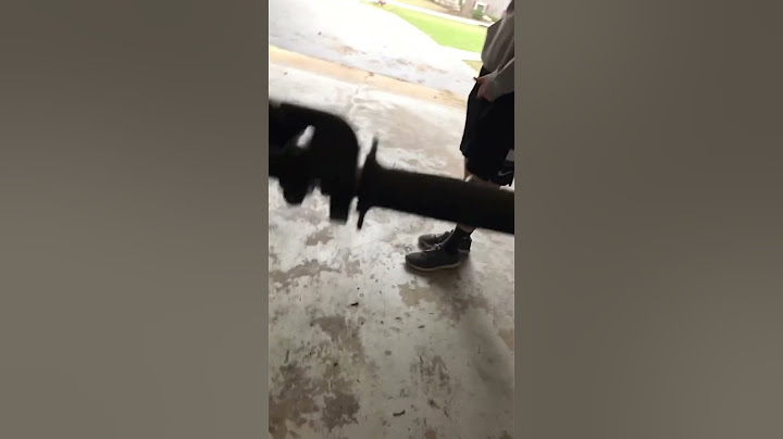 Angry Neighbor yells at Biker Kid 😅