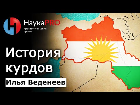 История изучения курдов | История Курдистана – курдовед Илья Веденеев | Научпоп