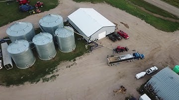 Unloading Wheat into Silos