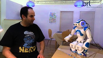 Interacting using a NAO robot as an avatar