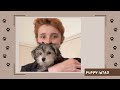 Meet Rosie! | Pupdate #1