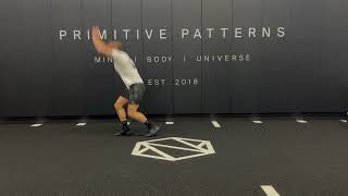 Alternating Staggered Stance Jumps Wealth